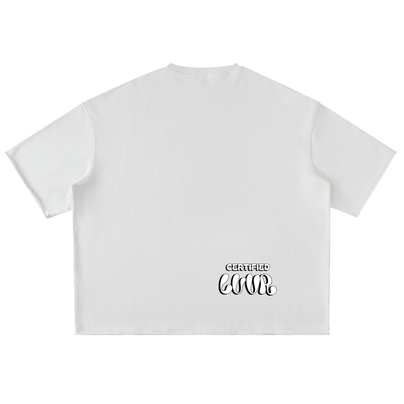 CERTIFIED BOSS Washed Rolled Hem Half Sleeve T-Shirt